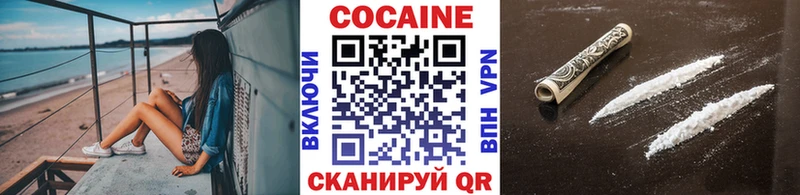 Кокаин Fish Scale  Купить закладки  Камышлов 