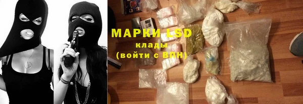 PSILOCYBIN Михайлов