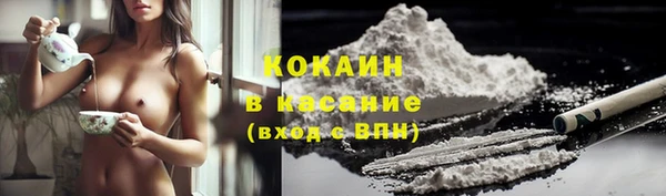 PSILOCYBIN Михайлов