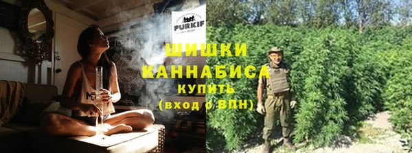 PSILOCYBIN Михайлов