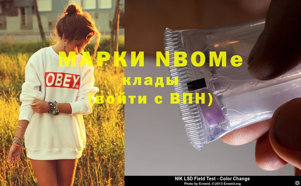 PSILOCYBIN Михайлов