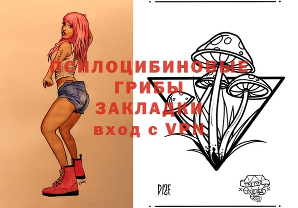 PSILOCYBIN Михайлов