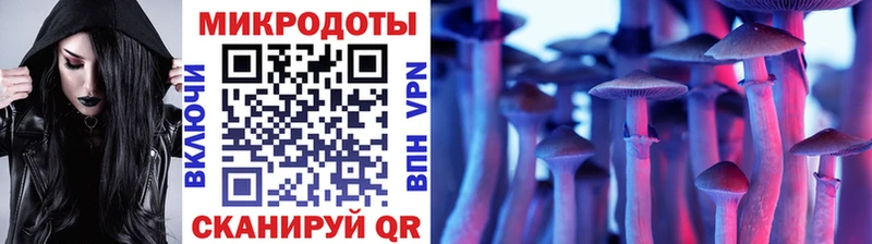 Купить закладки  Камышлов  Галлюциногенные грибы GOLDEN TEACHER 